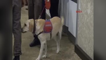 Bahçeli elini öptürmedi!