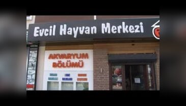 Bursalılar sıcak havalarda akvaryuma dikkat...