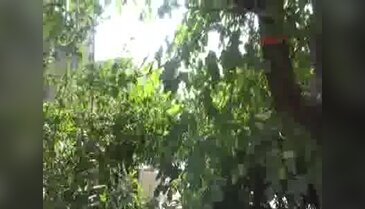 Silopi'de polise mayınlı tuzak: 4 polis şehit oldu!