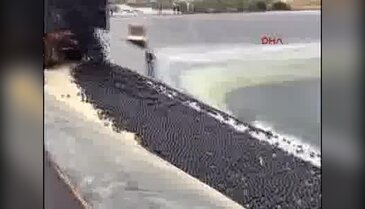 96 milyon tanesini suya bıraktılar
