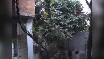 Nusaybin'de hendek kapatmaya giden polislere bombalı tuzak: 2 polis yaralandı