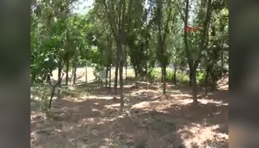 Danıştay üyesi Yurdabak'ın intihar ettiği yerden görüntüler