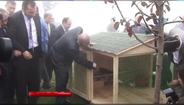 Erdoğan'ın başına keklik kondu