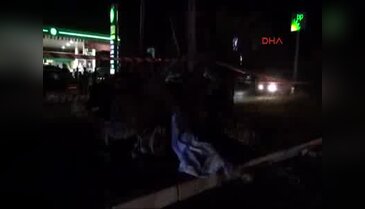 Otomobil direğe çarptı; 2 kişi yanarak öldü