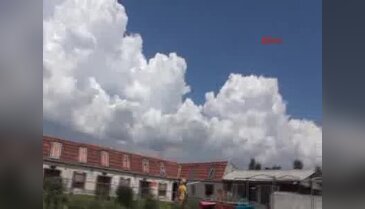 Posta güvercinleri 7 saatte Konya'dan Eskişehir'e geldi