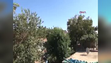 Silvan'da hayat normale dönmeye başladı