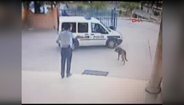Köpeği vuran komiser yardımcısı bu kez bir kadının ölümüne neden oldu