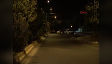 Çöp konteynerindeki ışık bomba paniği yarattı