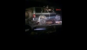 Ayıya yapılan insanlık dışı işkence izleyenlerin yüreklerini sızlattı