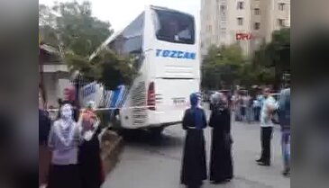 Köpeğe çarpmamak için direksiyonu kırınca...