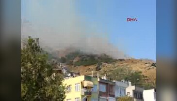 Marmara Adası'nda orman yangını