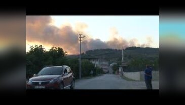 Bursa'da orman yangını!