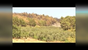 Bursa'da yanan ormanlık alana 50 bin konut iddiası