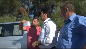 Bursa'da yanan alanlara fıstık çamı dikilecek