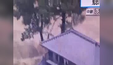 Japonya'yı sel vurdu: 100 bin kişi evsiz kaldı