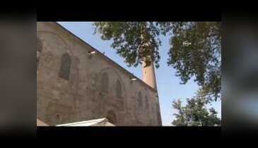 Bursa'da şehitler için dua...