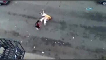 Pitbull dehşeti kamerada