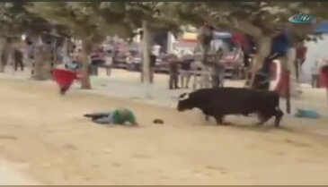 Boğanın boynuz darbeleri öldürdü