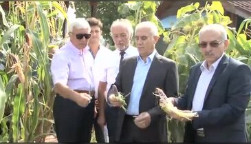 Bursa'daki bu bahçede tüm ürünler doğal ve GDO'suz