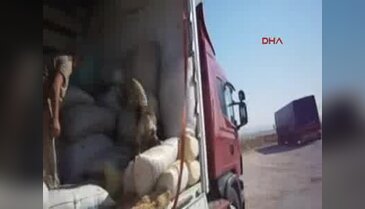 TIR'da 20 kilo 280 gram esrar ile küpesiz 30 koyun bulundu