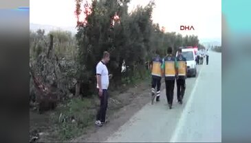 Otomobil zeytinliğe uçtu: 1 ölü, 2 yaralı