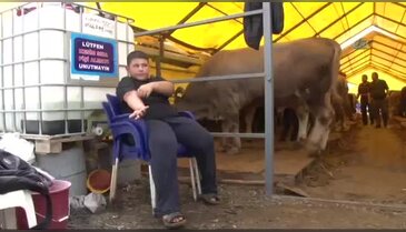 Kurban pazarının en küçük patronu