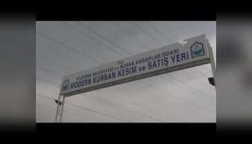 Bursa'da kurban alanındaki atıklar mahalleli ve esnafı canından bezdirdi