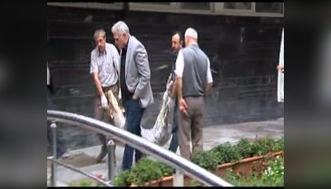 Tomografisi çekilen koç 400 bin  hayvanı kurtaracak