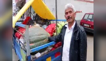 68 kiloluk bal kabağı