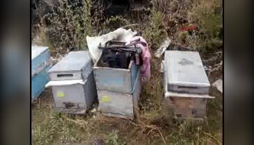 HDP'li başkan, arı kovanına sakladığı silahlarla yakalandı
