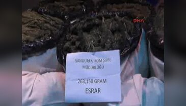 263 kilo esrara 2 gözaltı