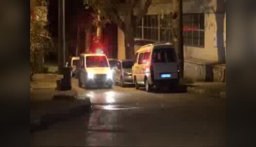 Bursa'da ayı paniği!
