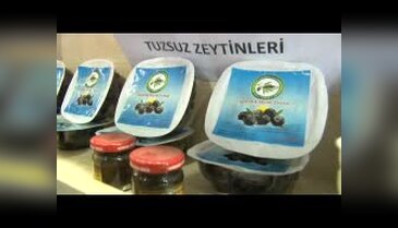 "Zeytin yağı fiyatları 40 lirayı bulabilir"