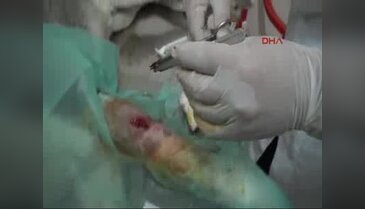 Havladığı için vurulan köpeği taş ocağı işçisi tedavi ettirdi