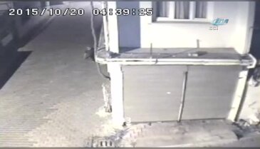 Hırsızın evden kaçarken görüntüsü kamerada