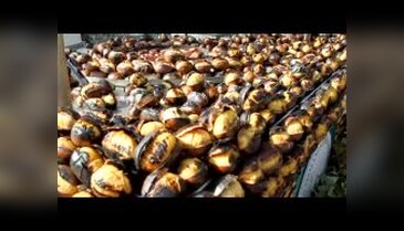 Kestane, kebap olunca fiyatı cep yakıyor; çiğ 15, pişmiş 50 lira