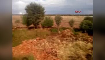 Diyarbakır'da uyuşturucu operasyonu