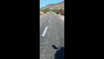 Lice Karayolu'nda 2 PKK mayını imha edildi