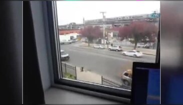 Amerika'dan Kastamonu'daki balıklarına yem attı