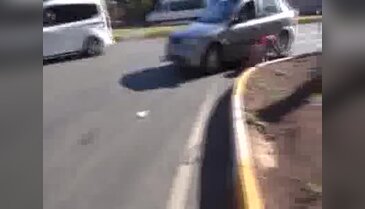 Trafiği birbirine kattı ama yavru kedi yine bildiğini okudu