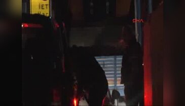 İstanbul'da terör operasyonu