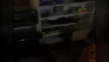 İstanbul'da oto hırsızlığı operasyonu