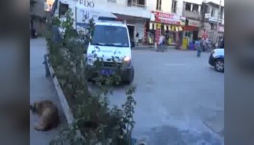 Belediye otobüsünde dayak ve bıçaklama