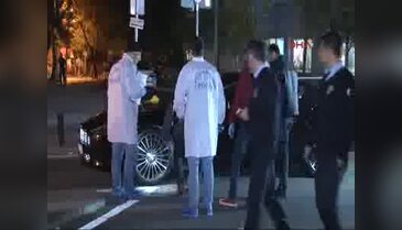Şarkıcı Berkay'a silahlı saldırı