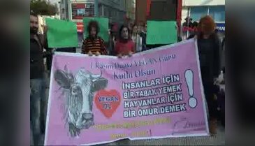 Etsiz dolma dağıttılar