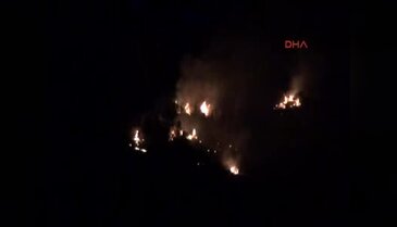 Antalya'da orman yangını
