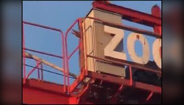Maaşını alamayınca vincin üzerine çıktı