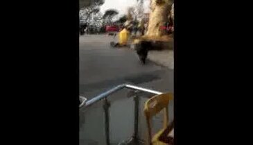 Denizden çıkan domuz sahildekileri kovaladı