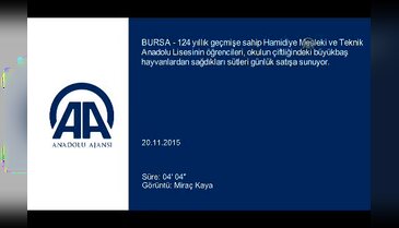 Bursa'da asırlık liseden günlük süt