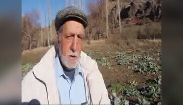 Tarladaki lahanaları çaldılar
